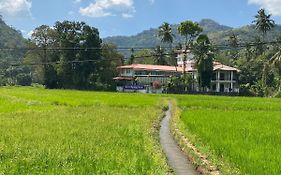 Hotel Spring View